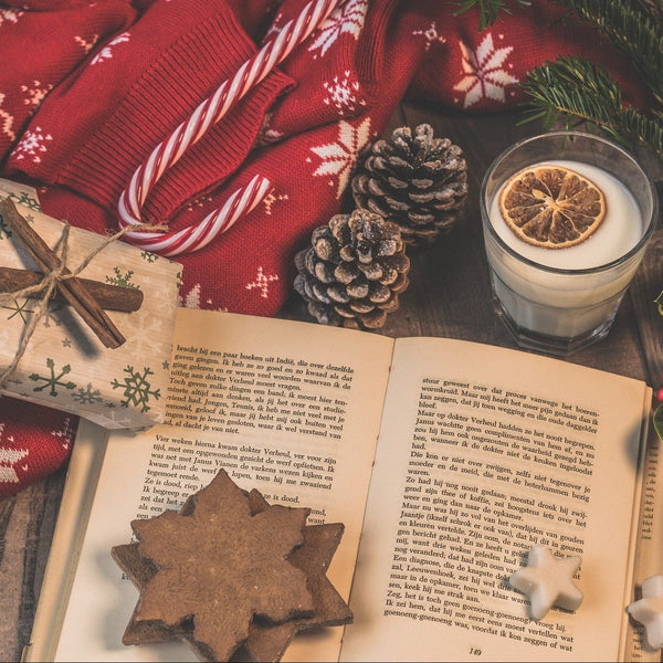 Ancient History Holiday Reads! - Karwansaray Publishers