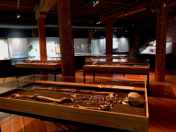 Museum of London Launches New Exhibition on The Roman Dead - Karwansaray Publishers