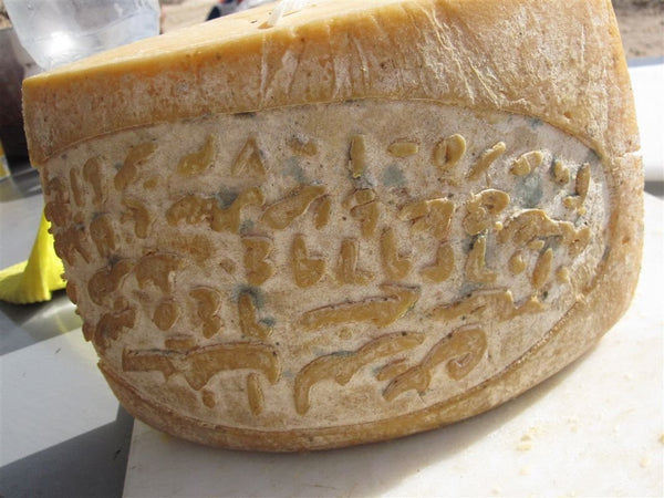 World’s Oldest Cheese Discovered! - Karwansaray Publishers